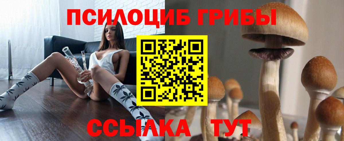 Нефтекумск  Псилоцибиновые грибы мицелий  Вход с VPN  Псилоцибиновые грибы Psilocybe 